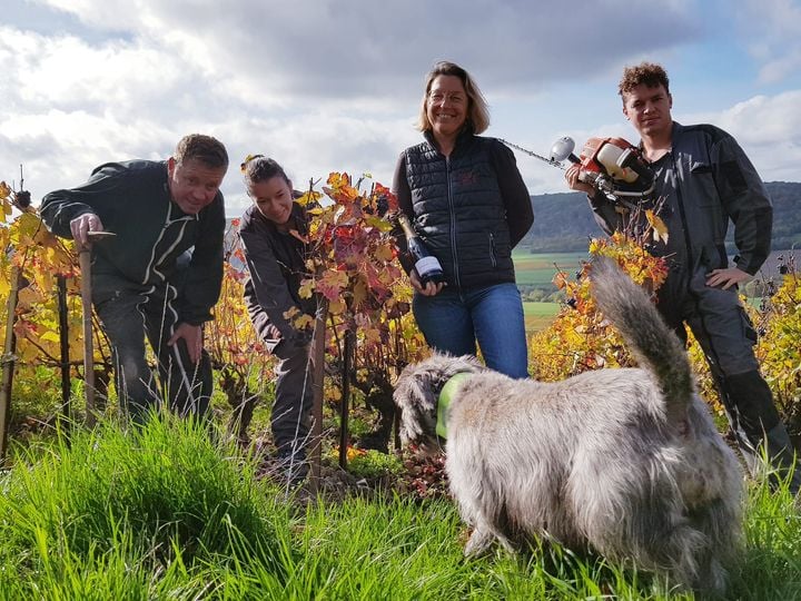 312929198_2961047080865402_2490784204959766001_n